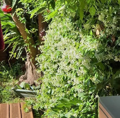 Le Square Pauline, 4 Prs, Jardin, 300m דירה אנטיב